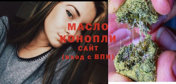крисы Армянск