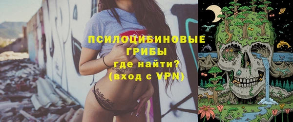 крисы Армянск