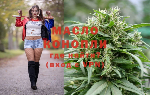 крисы Армянск