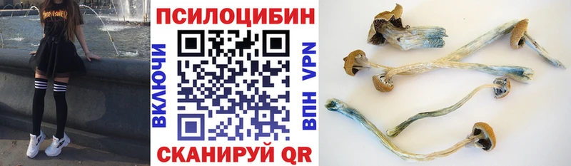 Псилоцибиновые грибы мицелий  hydra как войти  Горбатов 